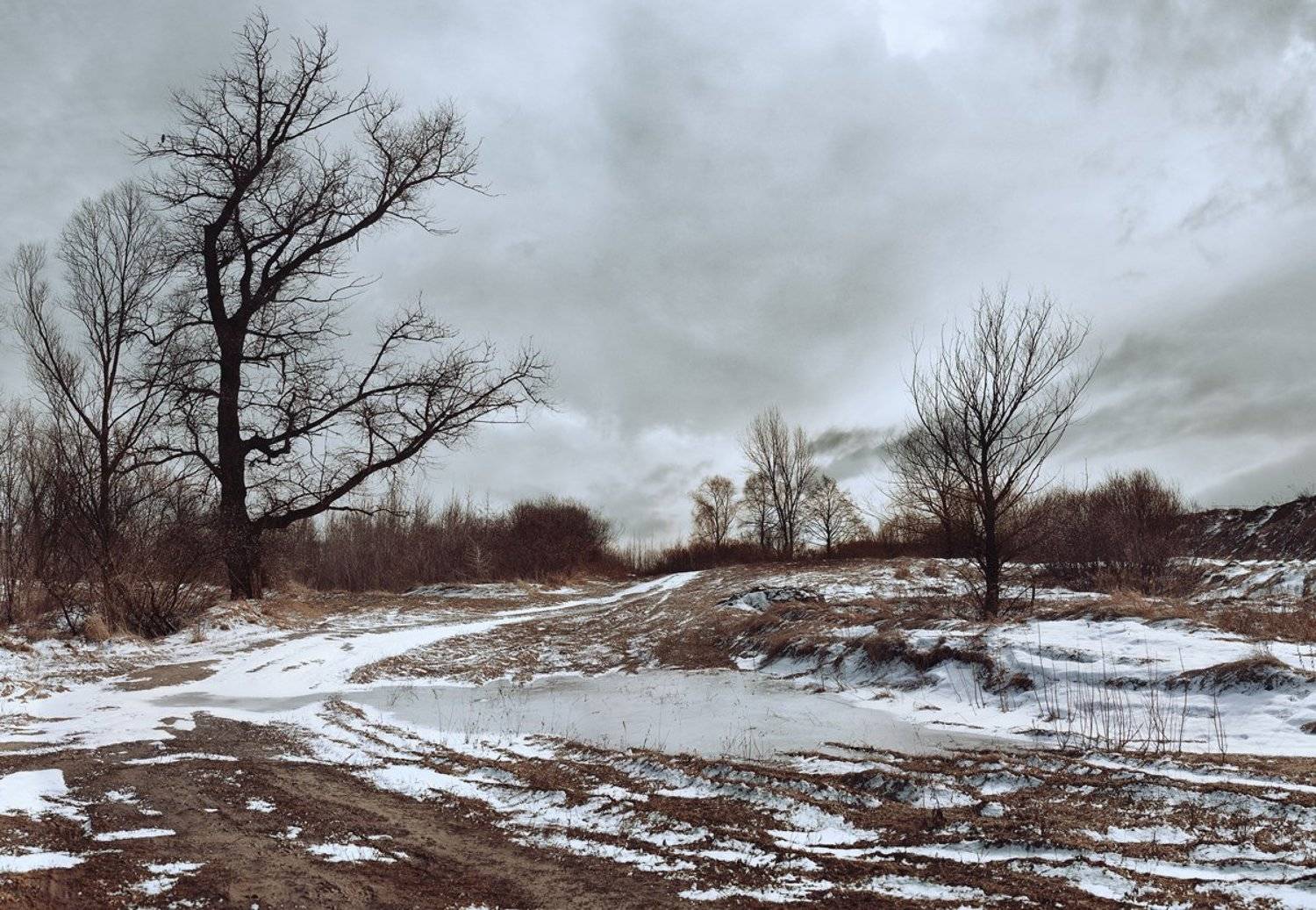 , Василий Кучеренко