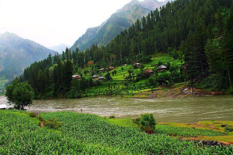 d фото превью