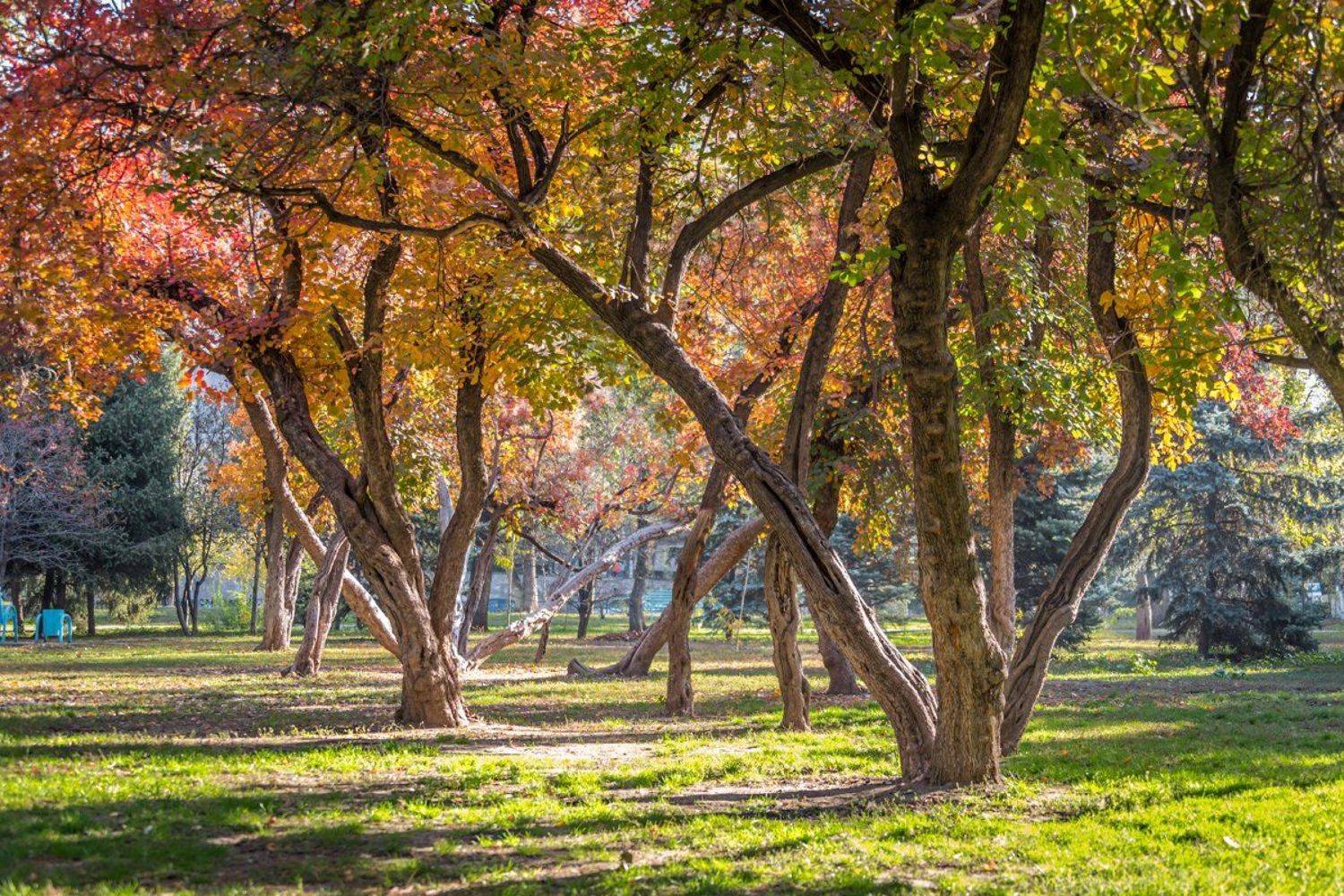 , Михаил Попов