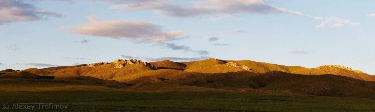 , Алексей Трофимов