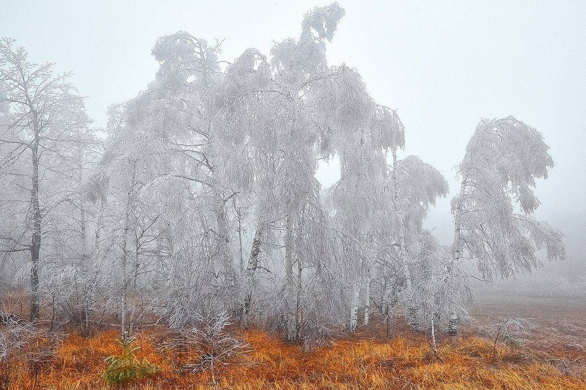 , Качурин Алексей