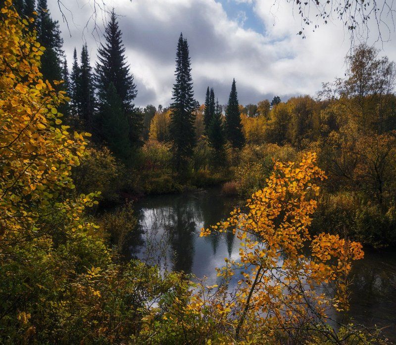 Мгновения Томской осени. фото превью