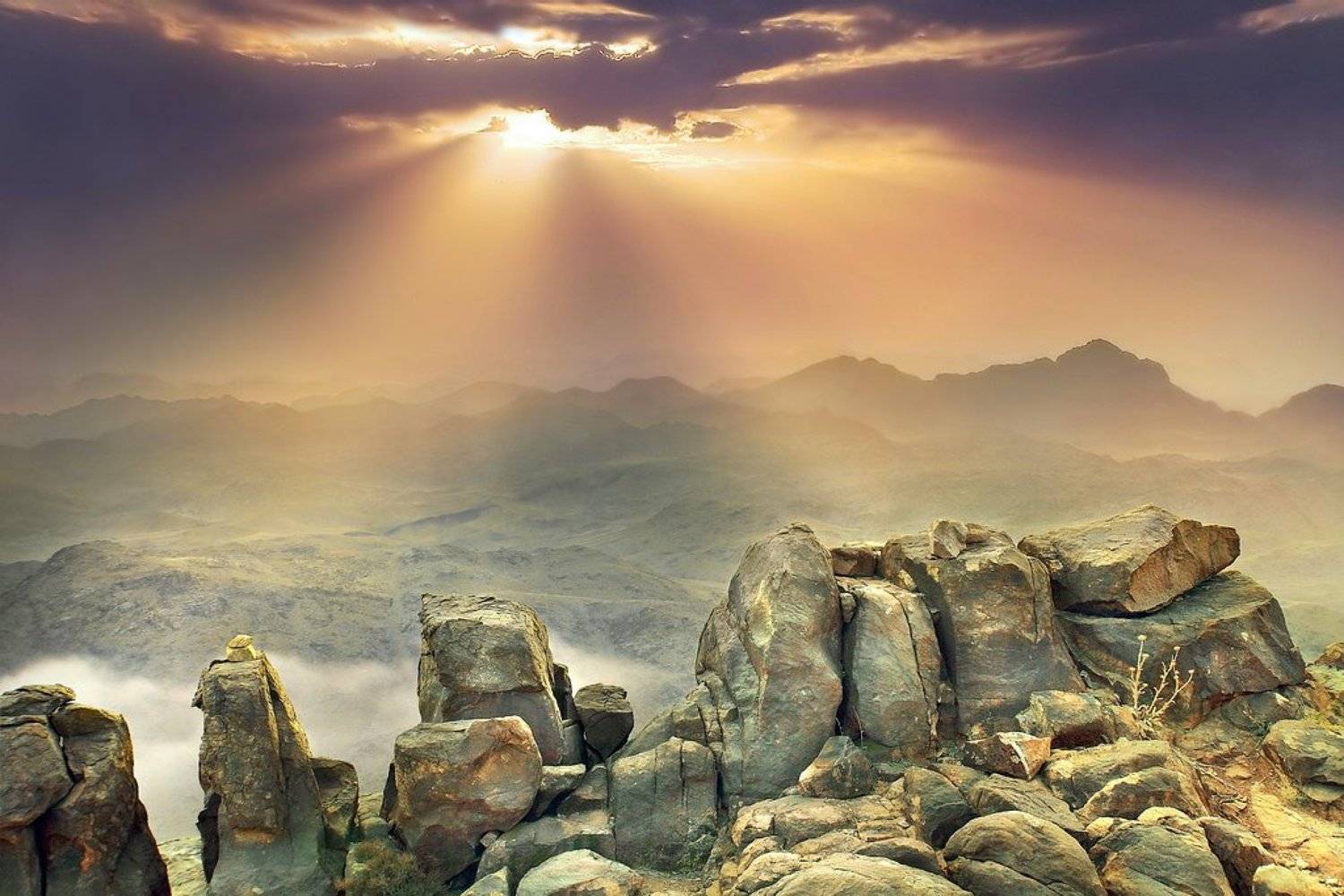 гора, моисея, Аркадий Усиков