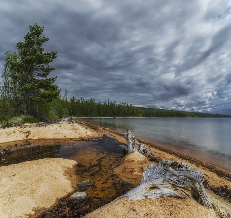 берег, карелия, коряга, лето, небо, озеро, пейзаж, природа, путешествие, север, туризм озеро Имандра фото превью