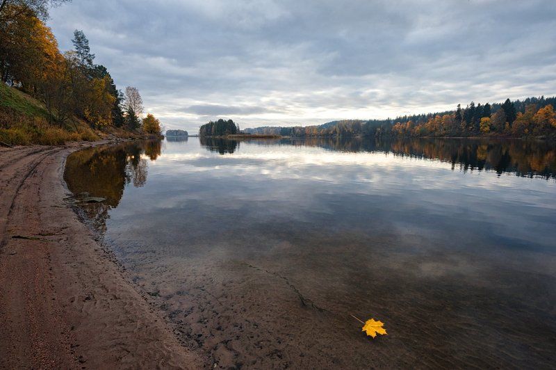 Уносит времени река последний лист осенний фото превью