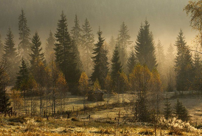 Осенний стелется туман... фото превью