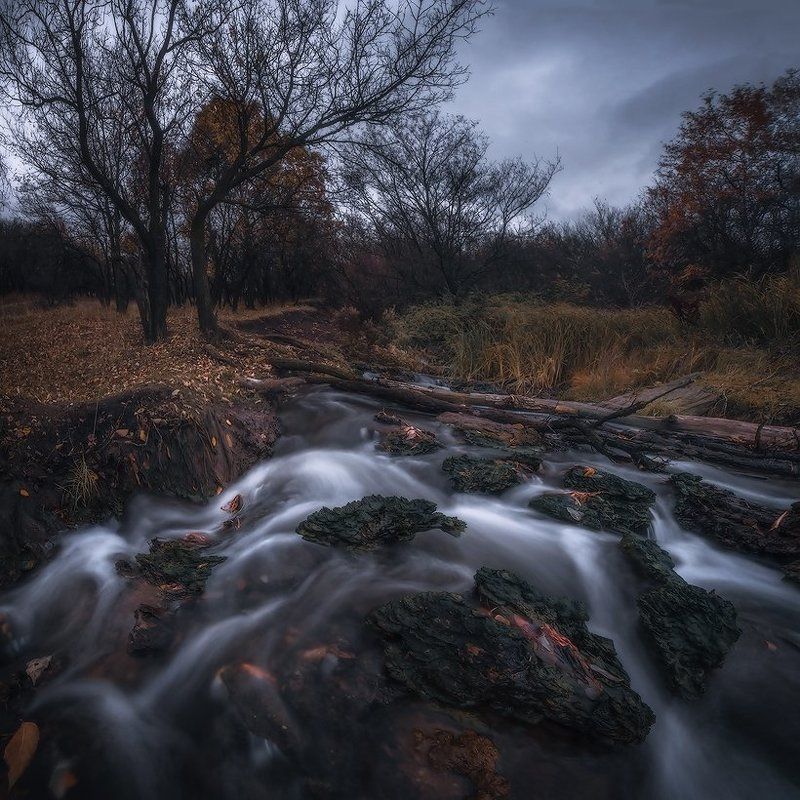 Ноябрьское настроение фото превью