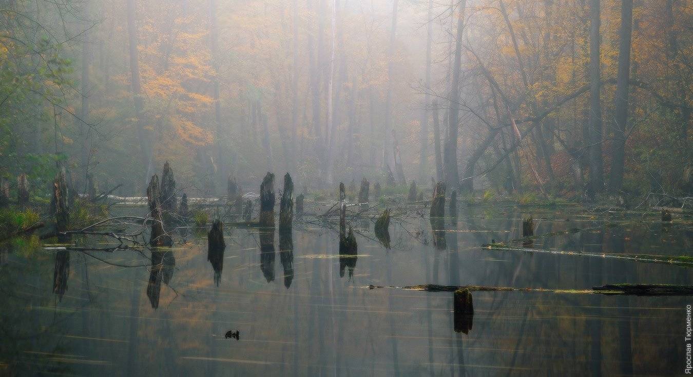 , Ярослав Тюрменко (Jaremi)