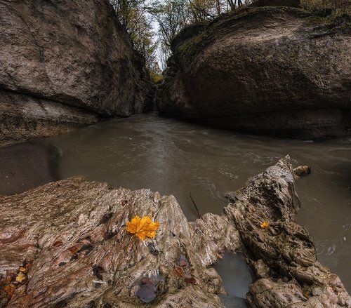 В Хаджохскую теснину осень заходила