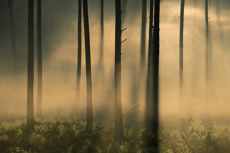 Плохая видимость фото превью