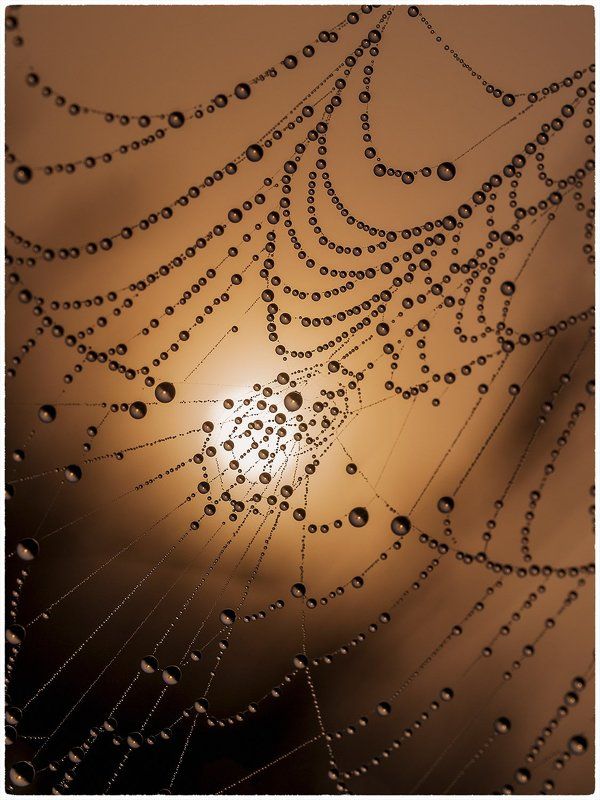 на рассвете ... фото превью