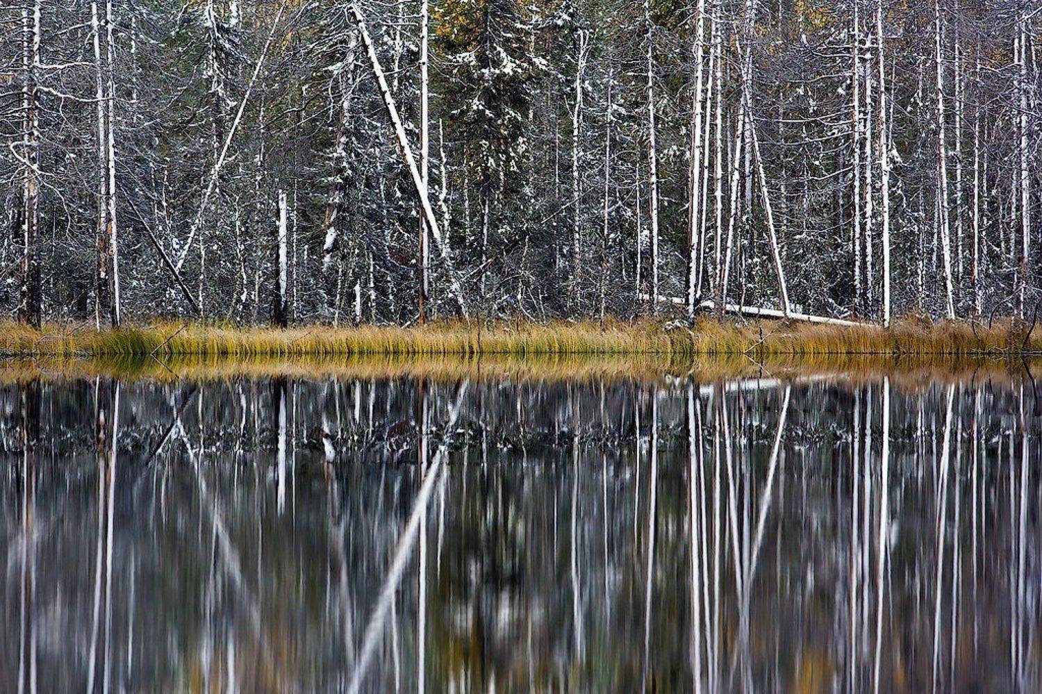 , Игорь Подгорный