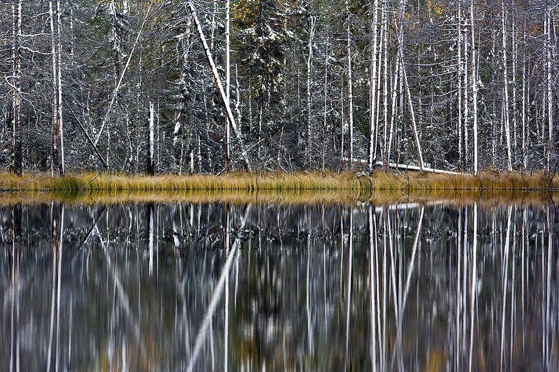 Осенний штрихкод фото превью