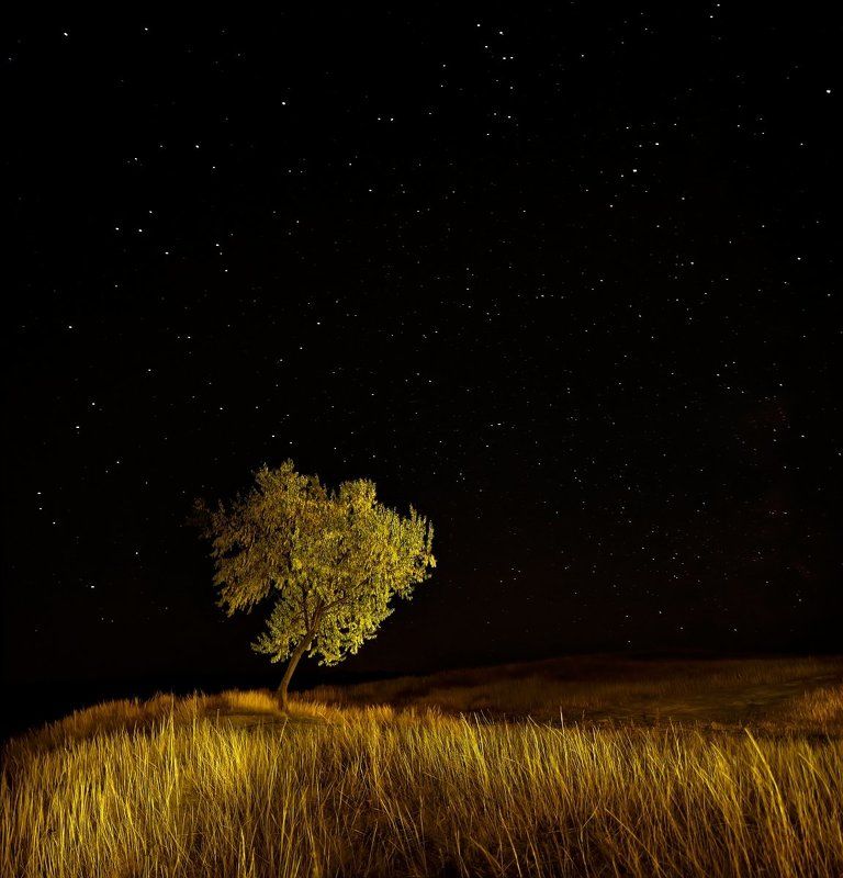 На краю земли фото превью