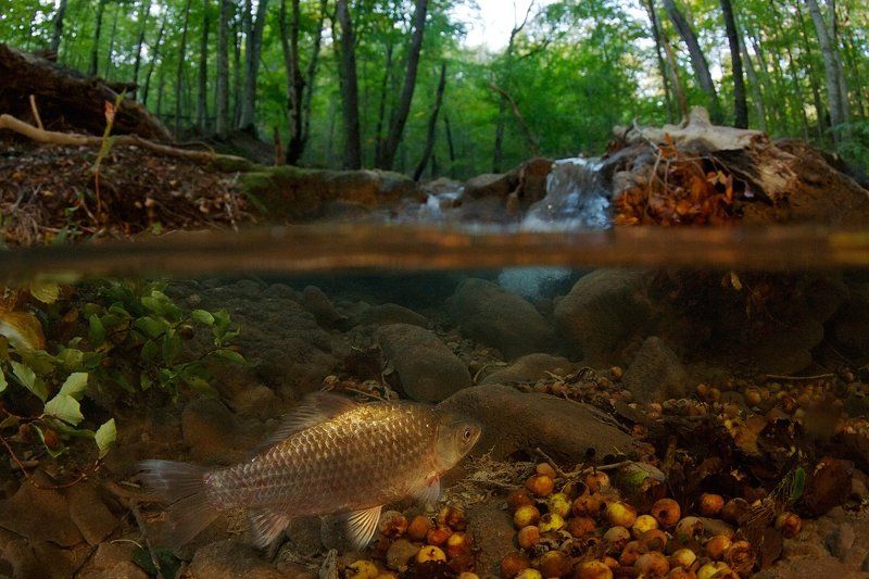 Ускользающее лето фото превью