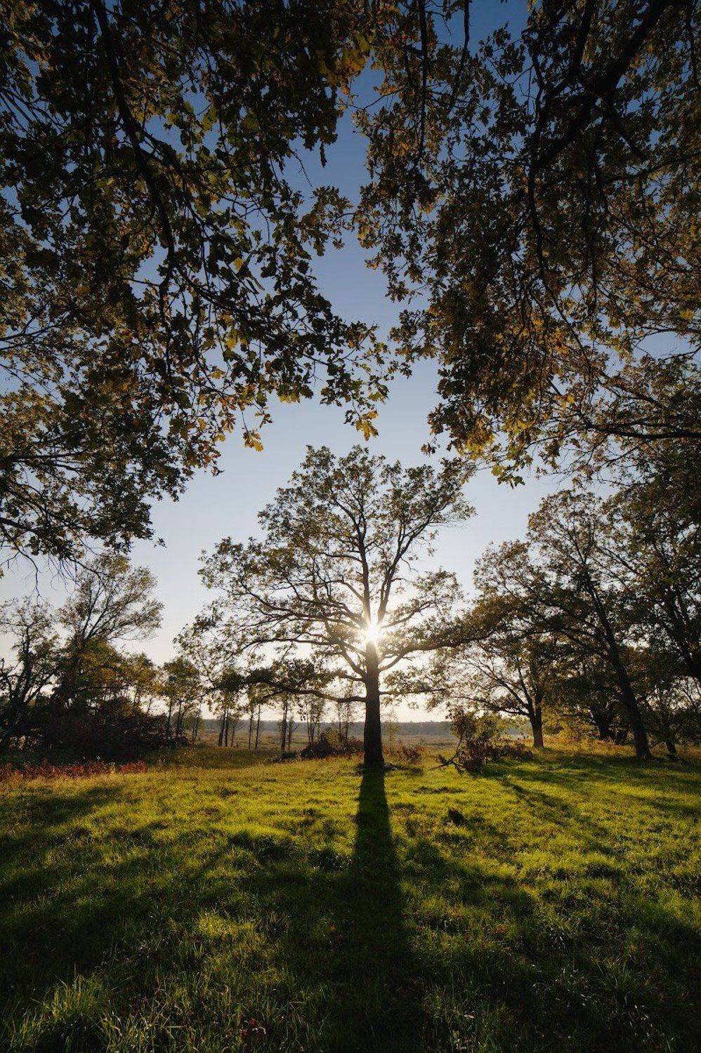 , Иван Куликов