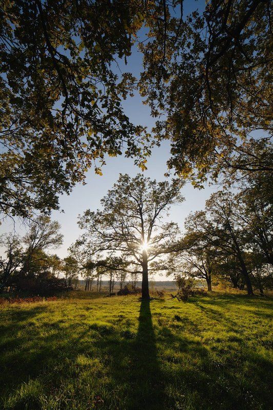 Осень фото превью