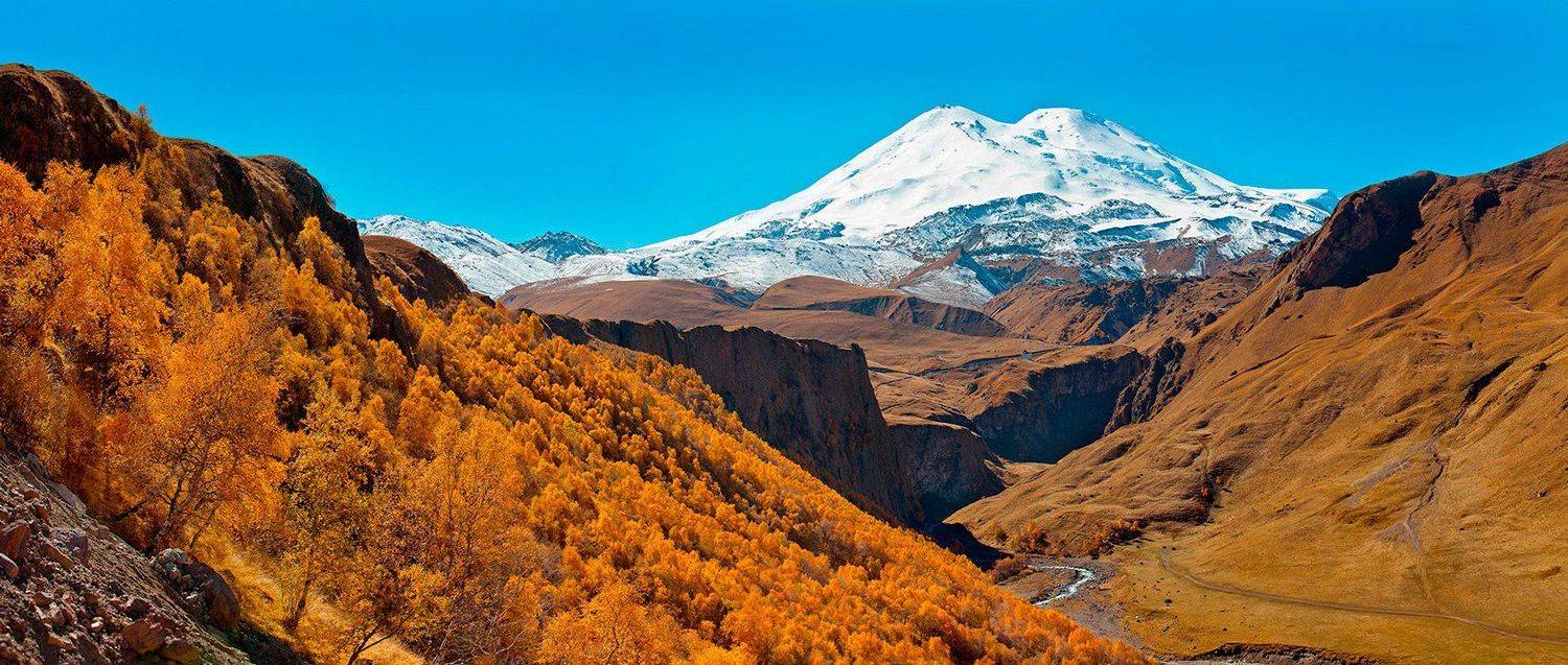 , Заур Вороков