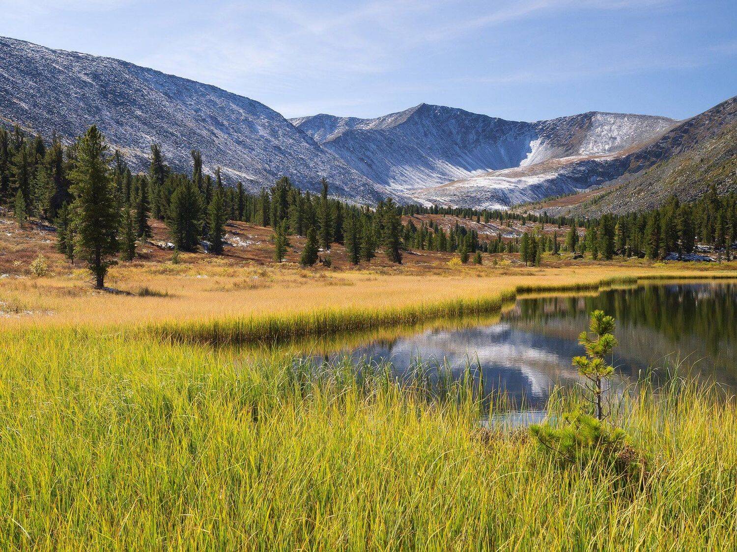 , Лещёнок Александр