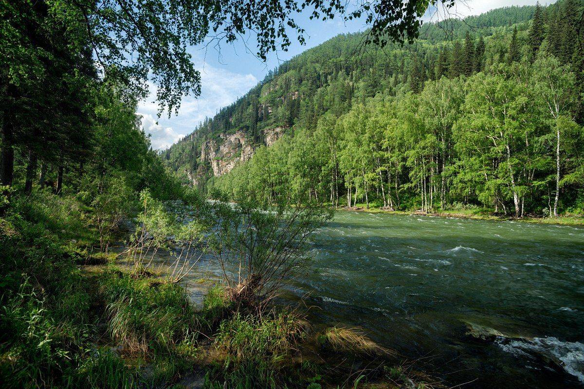 , Николай Ляпин