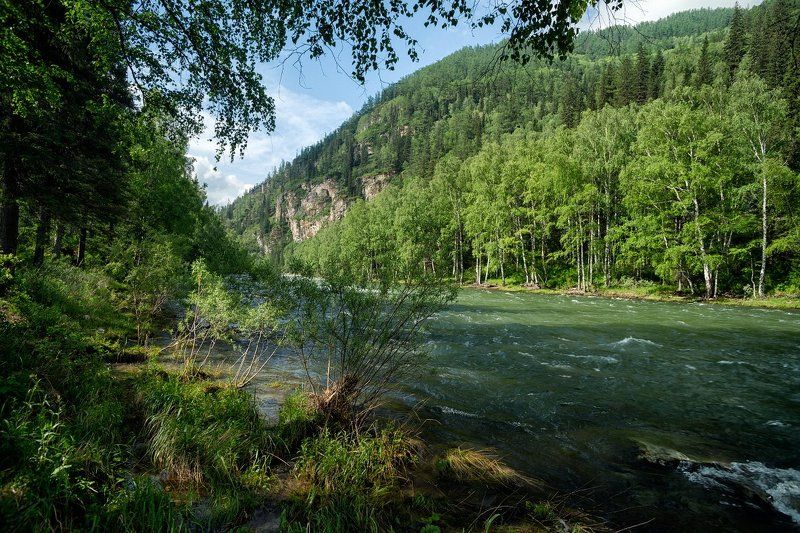 Кумир фото превью