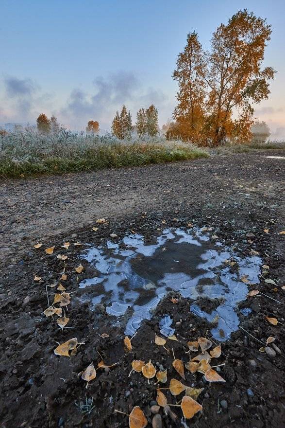 Татышев, Михаил Зверев