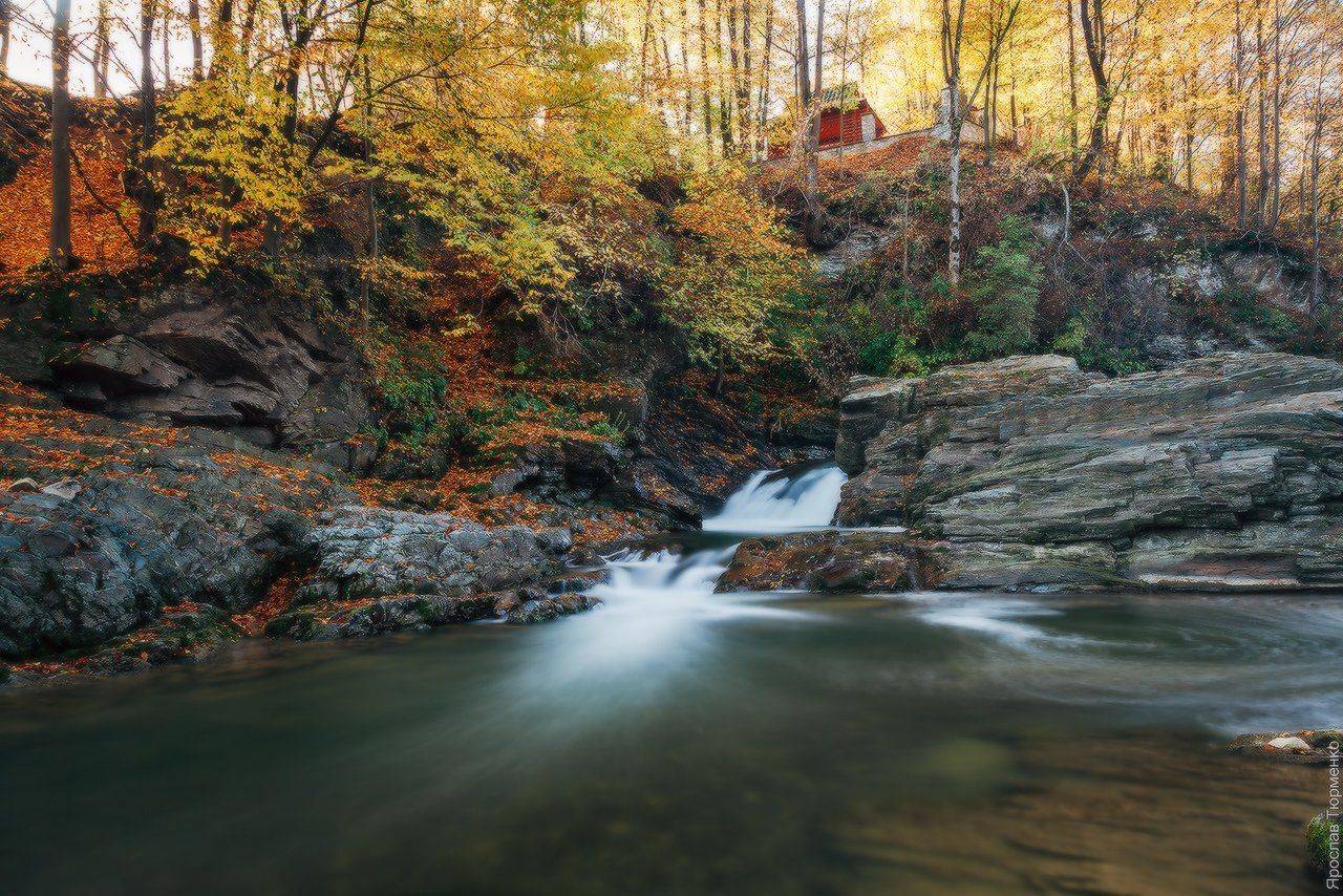 , Ярослав Тюрменко (Jaremi)