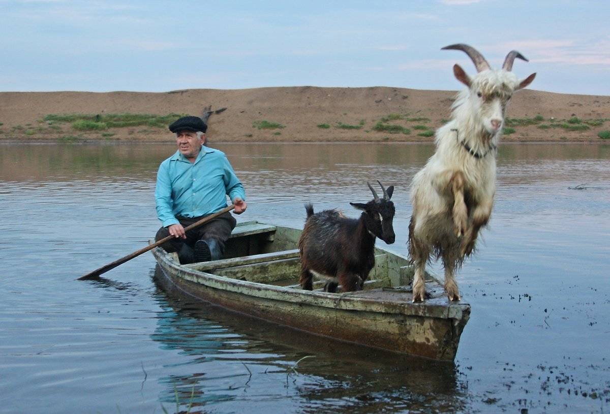 , Валерий Кондратов