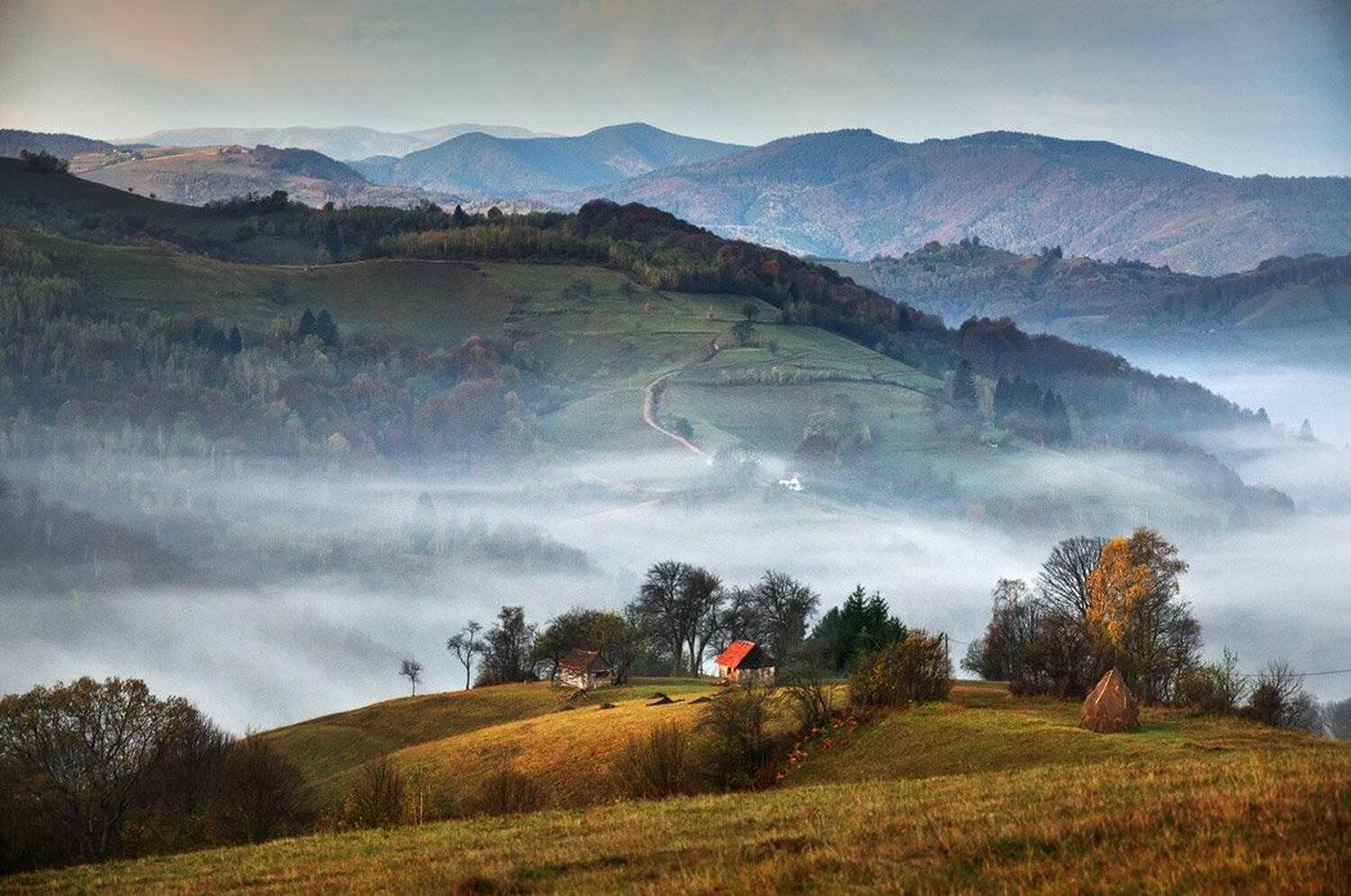 , Stefan Chirobocea