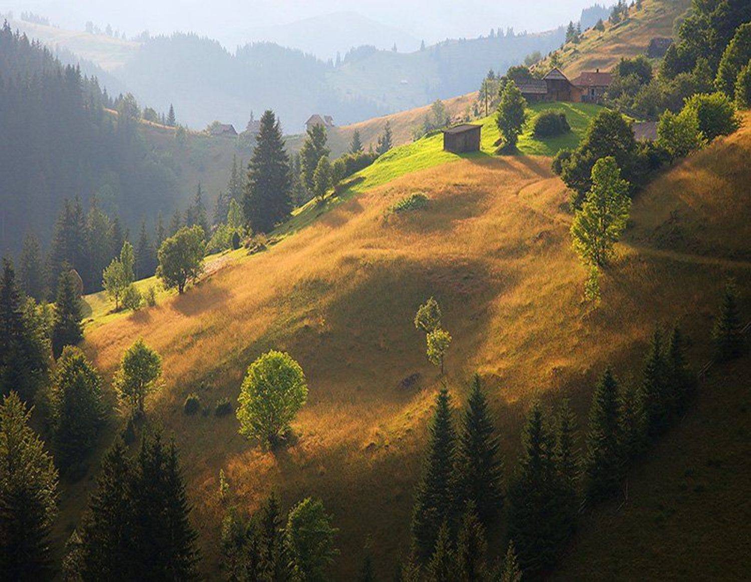 Карпаты, Осень, Цибух Тарас, Тарас