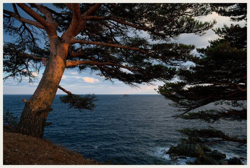 Ежегодное посещение 2 фото превью