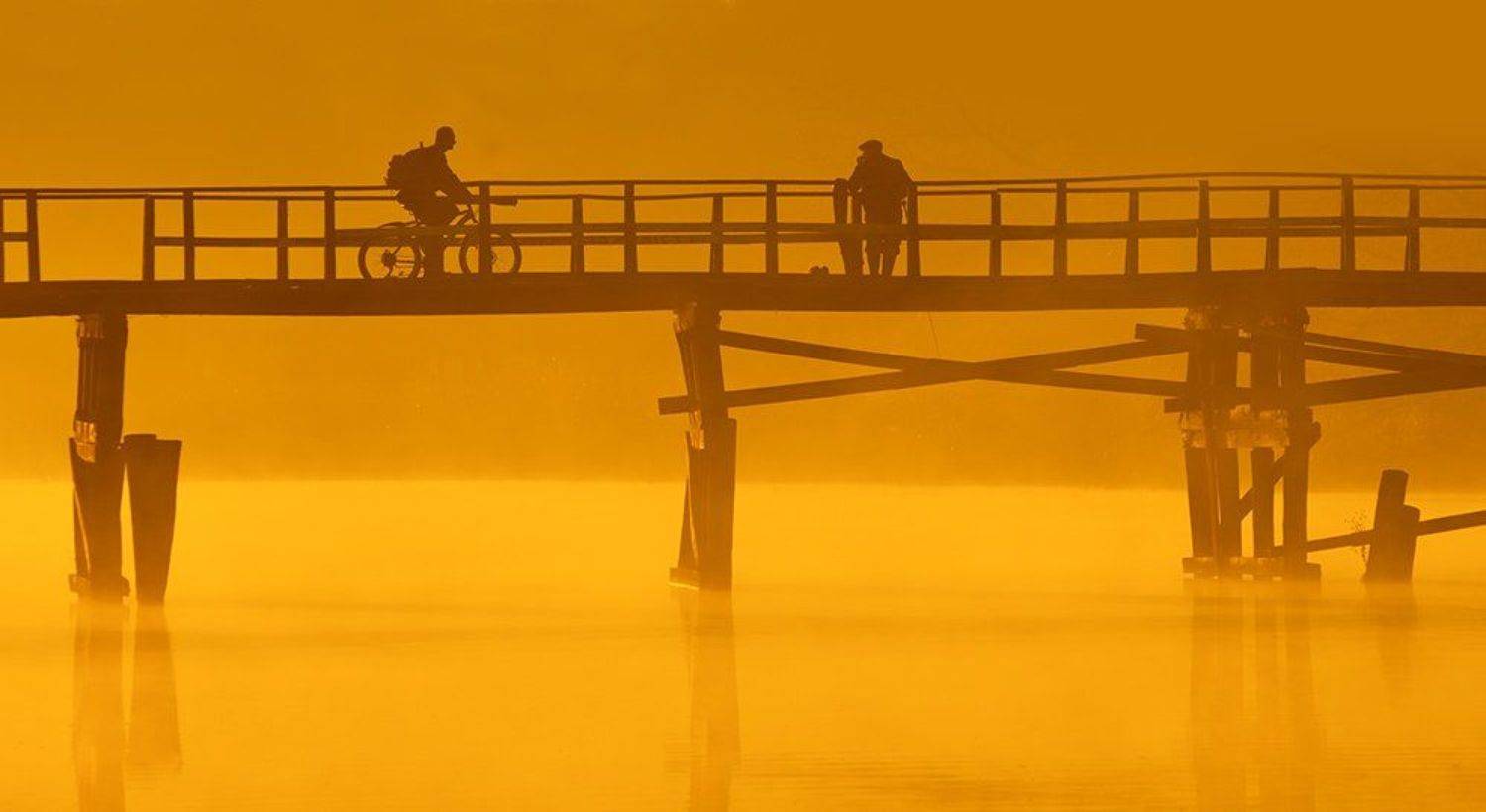 , Владимир Точаненко