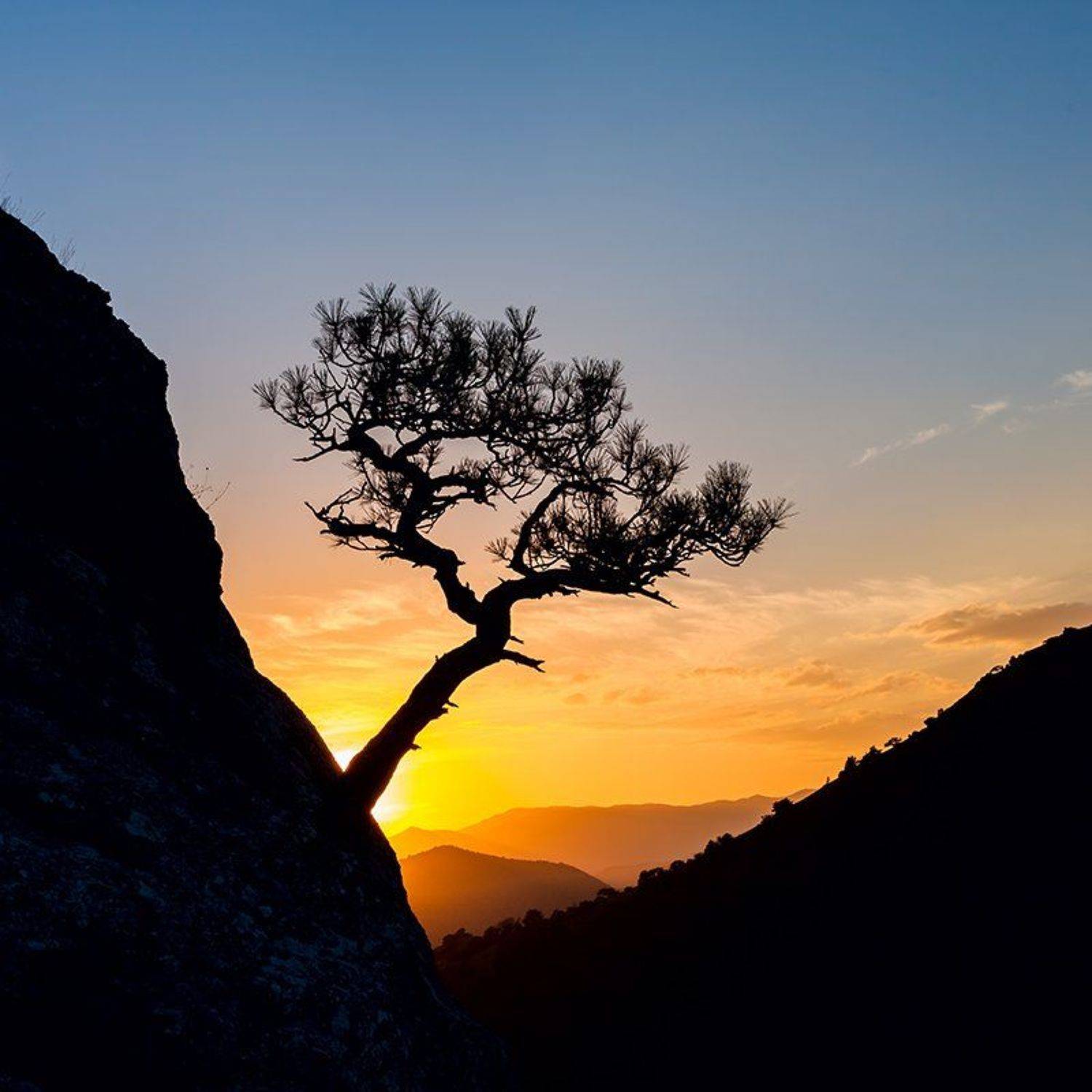 , Владимир Точаненко