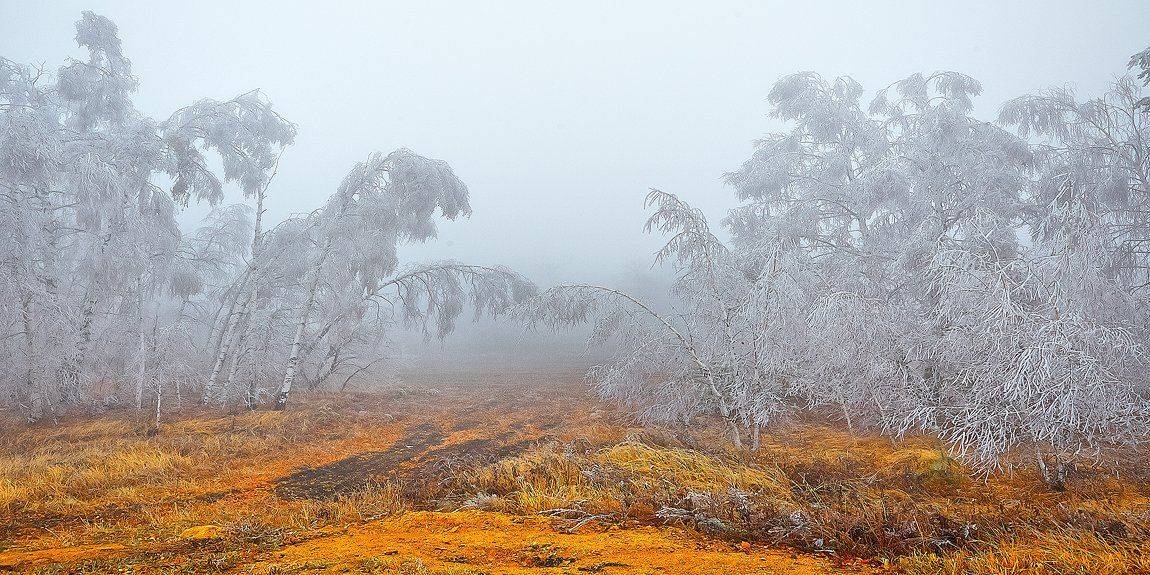 башкирия,туман,осень, Качурин Алексей