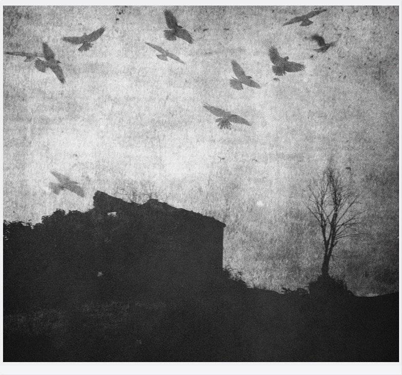 , Krzysztof Trojanowski