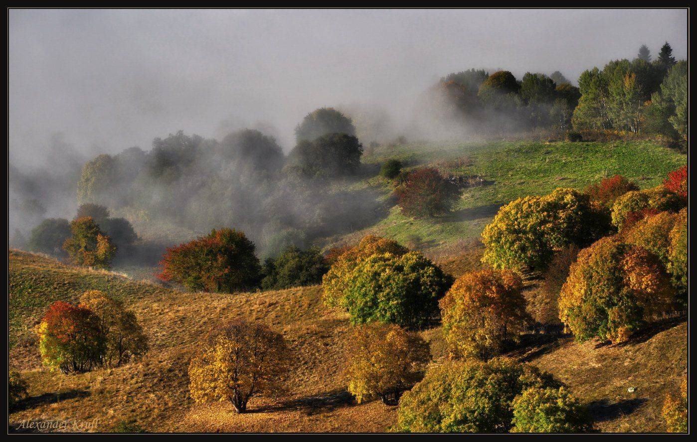 кавказ кчр, Александр Круль