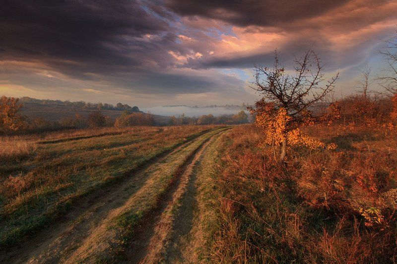 *** фото превью