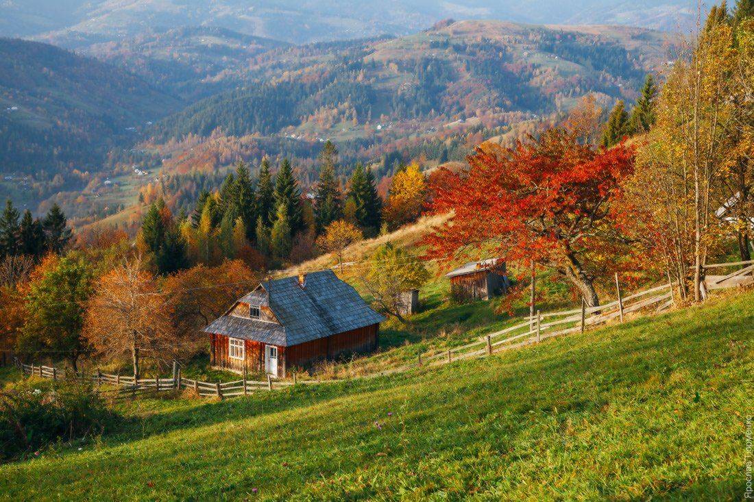 , Ярослав Тюрменко (Jaremi)