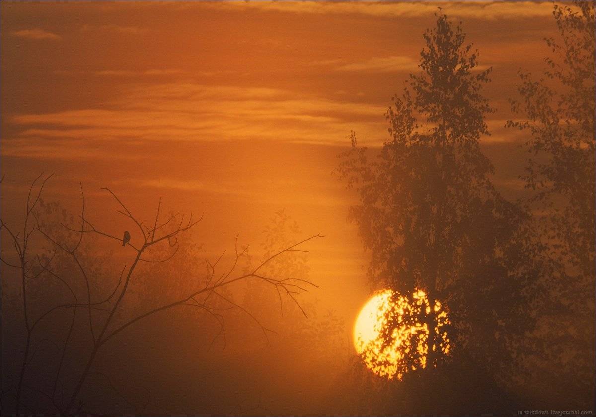 , Гусев Василий
