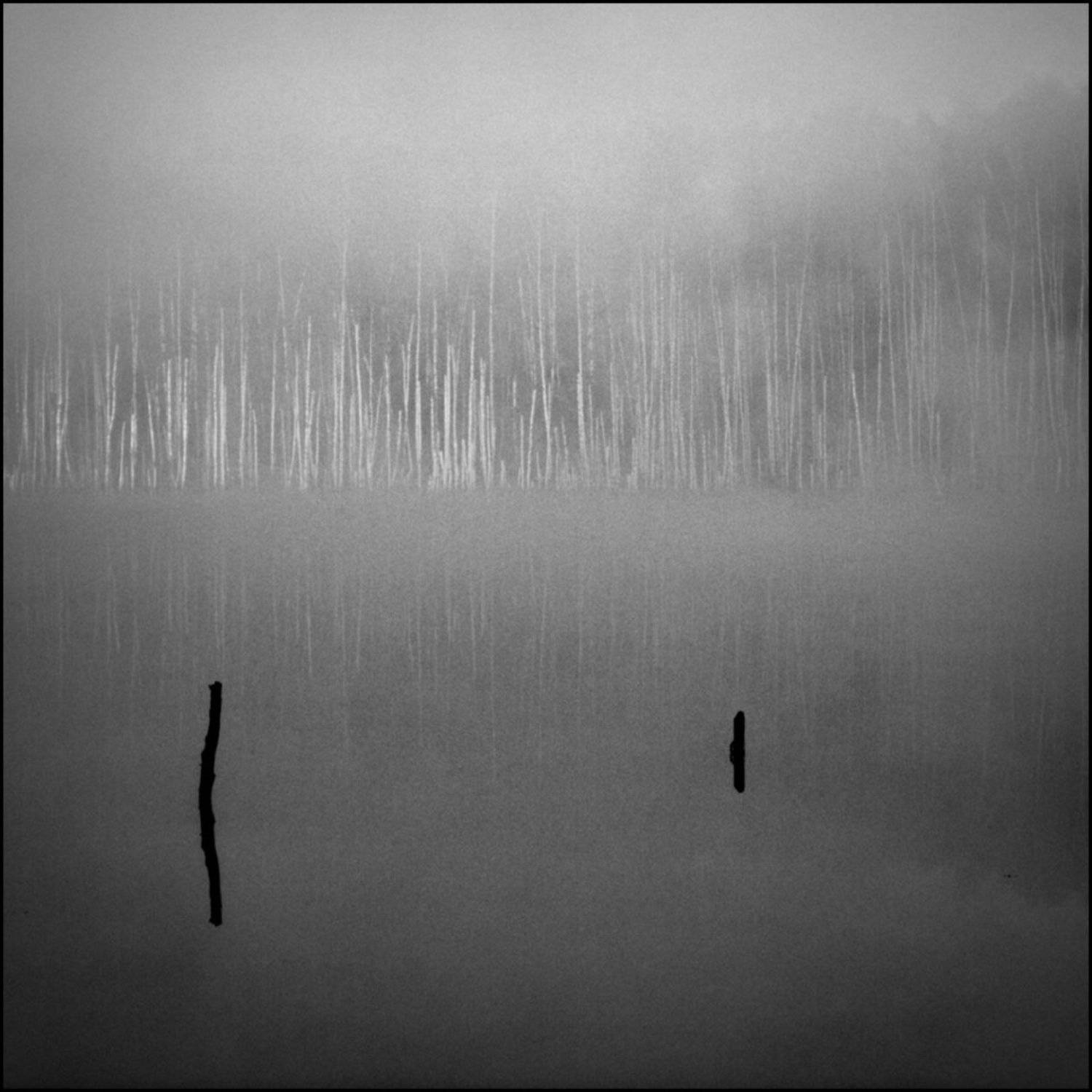 , михаил михаил