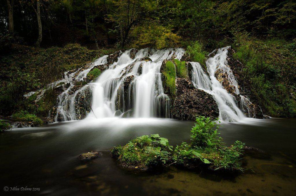 , Милен Добрев