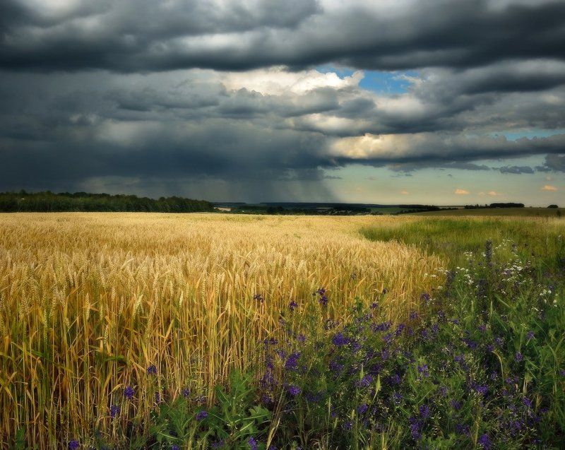 На меже фото превью