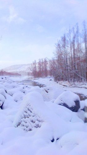 Река Палатка