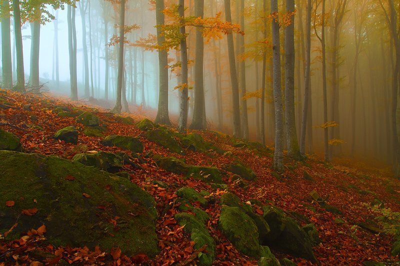 From cold to warm фото превью