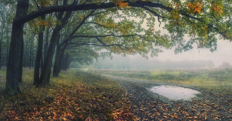 Дождь, Меланхолия, Осень Сторона ль ты моя, сторона! Дождевое, осеннее олово. фото превью