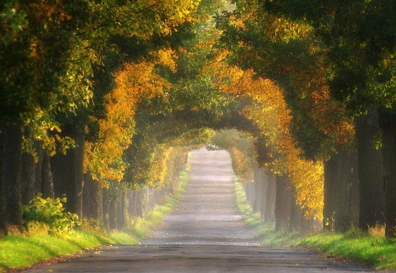 Autumn фото превью