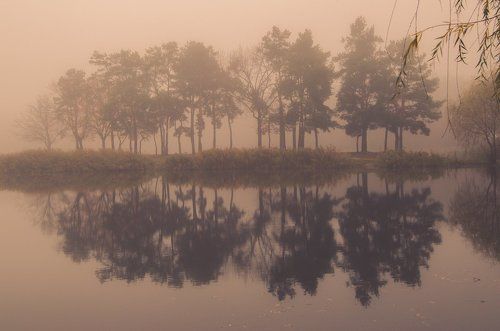 Сказочный туман