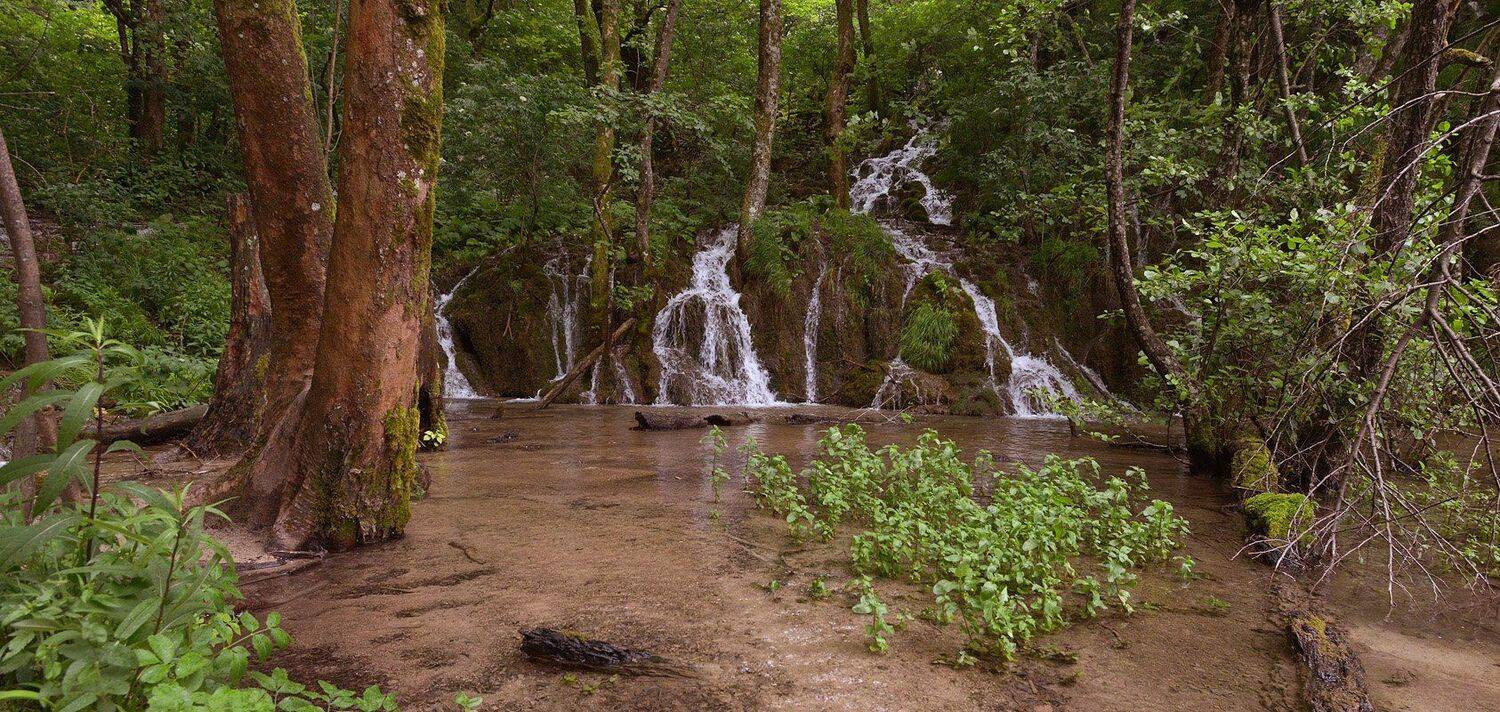 , Сергей Седов
