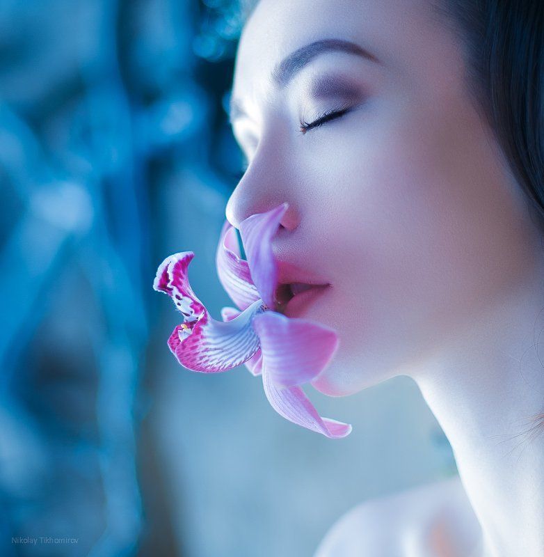 flower фото превью
