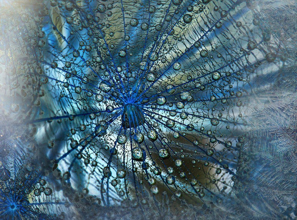 , Таня  Маркова